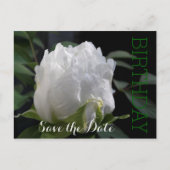 Carte Postale Faire-part White Peony 35th Birthday Enregistrer la date Cart (Devant)