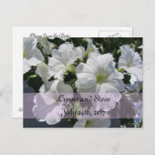 Carte Postale Faire-part White Petunia Enregistrer la date (Devant / Derrière)