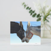 Carte Postale Faire Un Donk Autour (Debout devant)