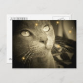 Carte Postale Faire un voeu (Devant / Derrière)