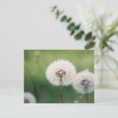 Carte Postale Faire un voeu (Debout devant)