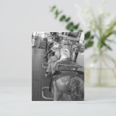 Carte postale Fairground Horse Ride (Debout devant)