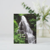 Carte Postale Fairy Falls (Debout devant)