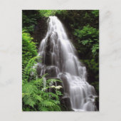 Carte Postale Fairy Falls (Devant)