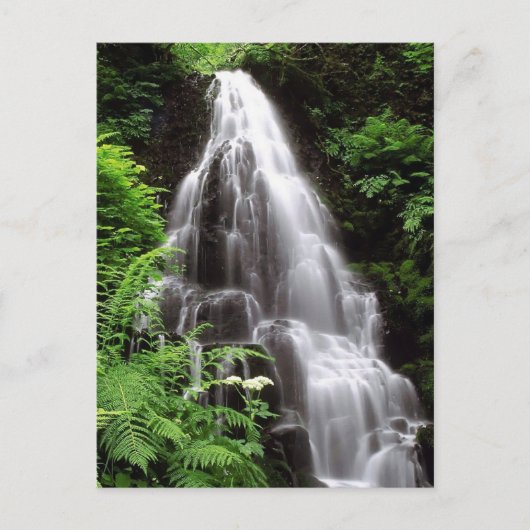 Carte Postale Fairy Falls (Devant)
