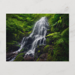 Carte Postale Fairy Falls Gorge de la rivière Colombia Oregon.