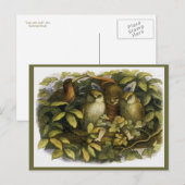 Carte Postale "Fairy with Owls" de Doyle (Devant / Derrière)