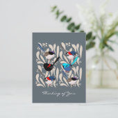 Carte Postale Fairy Wrens (Debout devant)