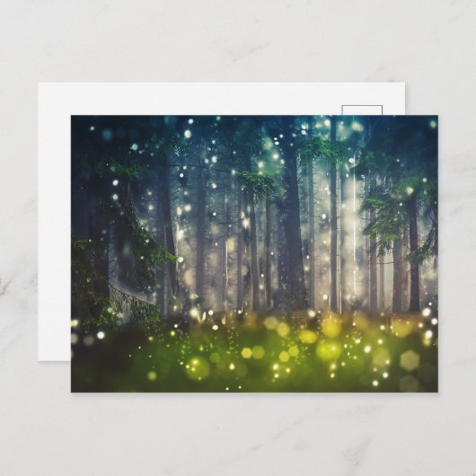Carte Postale Fairytale Forest Tree Nature Paysage Art (Devant / Derrière)