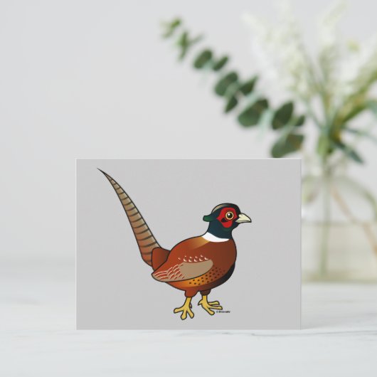 Carte Postale Faisan commun (Debout devant)