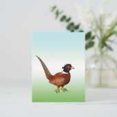 Carte Postale Faisan commun (Debout devant)