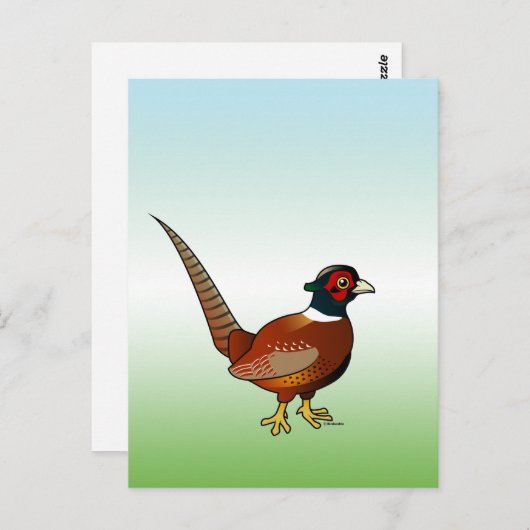 Carte Postale Faisan commun (Devant / Derrière)