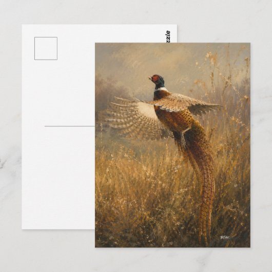 Carte Postale Faisan en vol doré (Devant / Derrière)