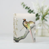 Carte Postale Faisans et fleurs de cerisier ++ Ohara Koson - (Debout devant)