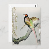 Carte Postale Faisans et fleurs de cerisier ++ Ohara Koson - (Devant / Derrière)