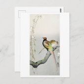 Carte Postale Faisans et fleurs de cerisier - Ohara Koson - (Devant / Derrière)