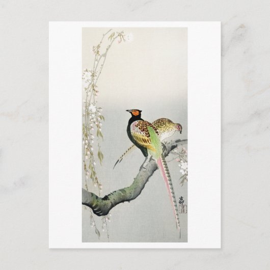 Carte Postale Faisans et fleurs de cerisier - Ohara Koson - (Devant)