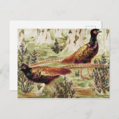 Carte Postale Faisans ordinaires de Maurice Pillard Verneuil (Devant / Derrière)