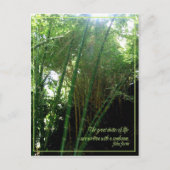 Carte Postale Faisceau (Devant)