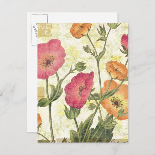 Carte Postale Faisceaux colorés (Devant / Derrière)