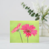 Carte Postale Faisceaux de Gerber rose personnalisables sur Vert (Debout devant)