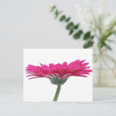 Carte Postale Faisée de Gerbera rose chaud (Debout devant)