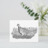 Carte Postale Faiseuse (Debout devant)