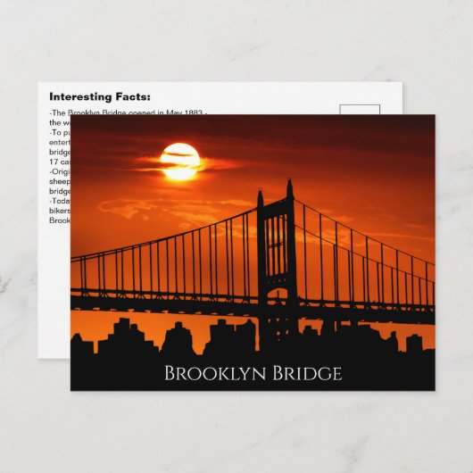 Carte Postale Fait intéressant Brooklyn Bridge (Devant / Derrière)