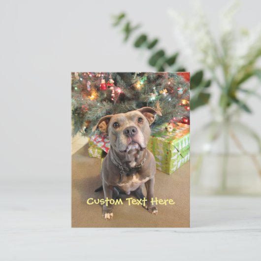 Carte postale faite sur commande de Noël de (Debout devant)