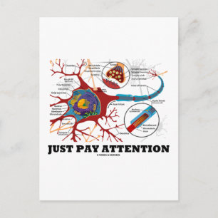 Carte Postale Faites attention (Neuron / Synapse)