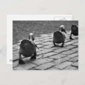 Carte Postale Faites la manière pour des canetons (Devant / Derrière)