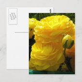 Carte Postale Faites le mien jaune (Devant / Derrière)