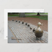 Carte Postale Faites place aux colliers ! (Devant / Derrière)