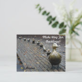 Carte Postale Faites place aux petits canards ! (Debout devant)