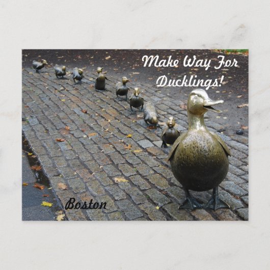 Carte Postale Faites place aux petits canards ! (Devant)
