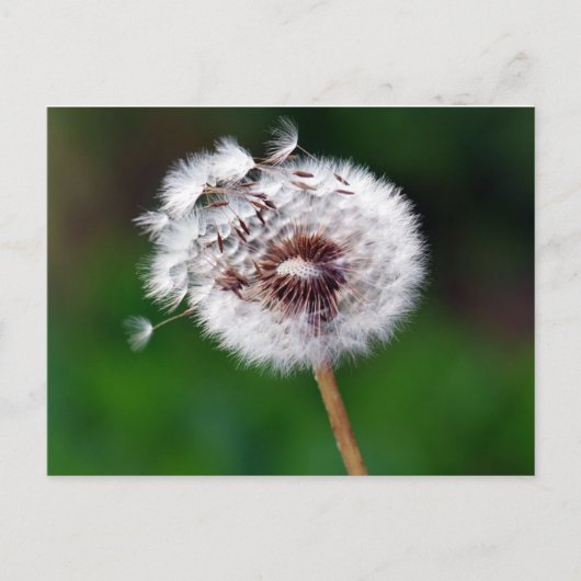 Carte postale - Faites un voeu (Devant)