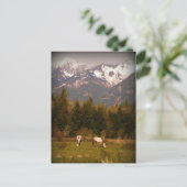 Carte Postale Faites un voeu sur un cheval blanc ! (Debout devant)