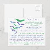 Carte Postale Faits amusants sur les chauves-souris (Devant / Derrière)