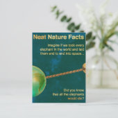 Carte Postale faits de nature nette (Debout devant)