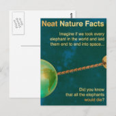 Carte Postale faits de nature nette (Devant / Derrière)