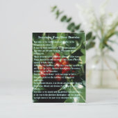 Carte Postale Faits Intéressants Sur Décembre (Debout devant)