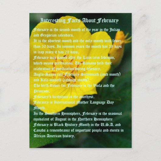 Carte Postale Faits intéressants sur Février (Devant)