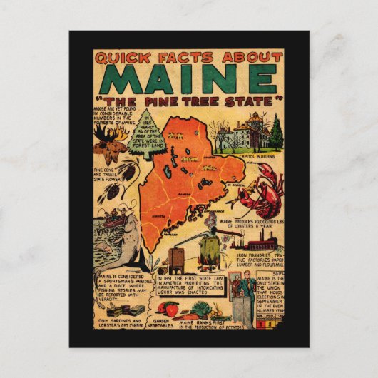 Carte Postale Faits Rapides Sur Le Maine (Devant)