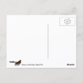 Carte Postale Faits saillants d'un séquoia botanique (Dos)