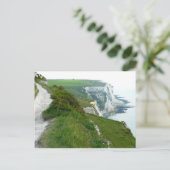 Carte Postale Falaises Blanches De Douvres (Debout devant)