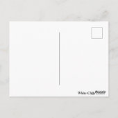 Carte Postale Falaises Blanches De Douvres, Angleterre (Dos)