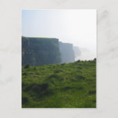 Carte Postale Falaises de Moher - Irlande (Devant)