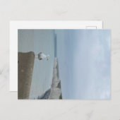 Carte Postale Falaises de Seagul et de blanc de Sept Soeurs, Roy (Devant / Derrière)
