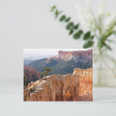 Carte Postale Falaises roses (Debout devant)