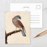 Carte Postale Falcon Hen Kestrel | William Lewin<br><div class="desc">Faucon; Hen Kestrel (avant 1790) | Le faucon de William Lewin; Hen Kestrel est un tableau saisissant et détaillé représentant un faucon de poule perché gracieusement sur une branche contre un arrière - plan neutre minimaliste. L’oeuvre d’art saisit la forme élégante de l’oiseau, son bec pointu et son plumage complexe...</div>